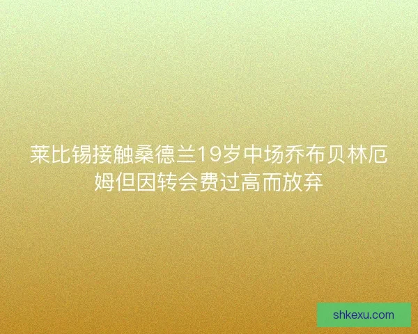 莱比锡接触桑德兰19岁中场乔布贝林厄姆但因转会费过高而放弃