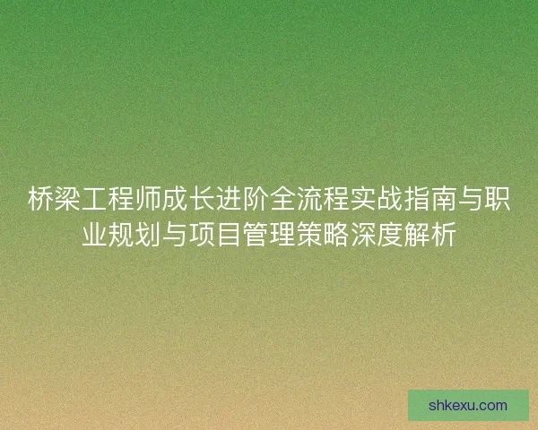 桥梁工程师成长进阶全流程实战指南与职业规划与项目管理策略深度解析