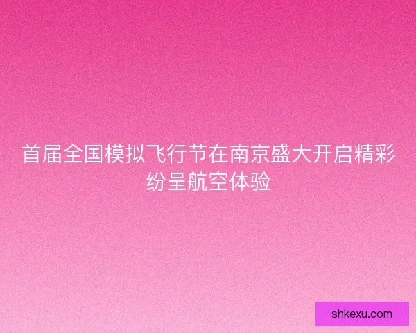 首届全国模拟飞行节在南京盛大开启精彩纷呈航空体验