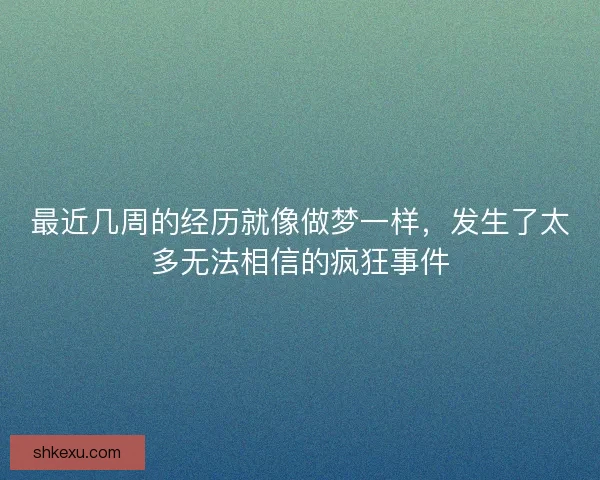 最近几周的经历就像做梦一样，发生了太多无法相信的疯狂事件
