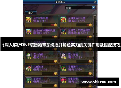 《深入解析DNF装备徽章系统提升角色实力的关键作用及搭配技巧》